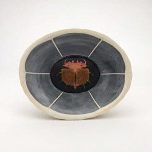 Insect Collection - Beetle Bowl